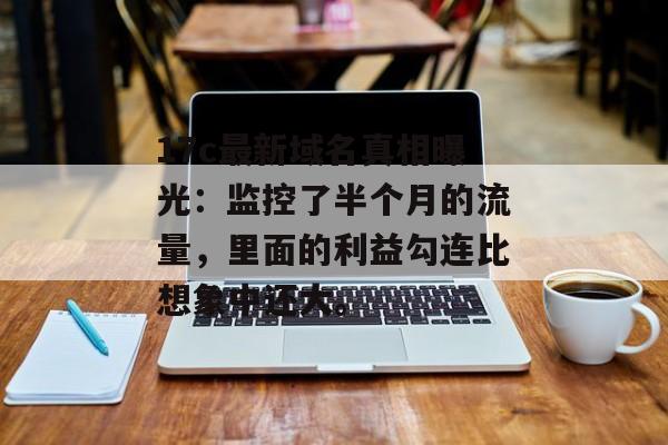 17c最新域名真相曝光：监控了半个月的流量，里面的利益勾连比想象中还大。